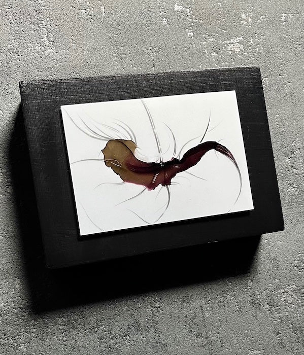 Dark wall art featuring a hybrid animal inspired by plants, flowers and parts of insects - surreal art with abstract elements mounted on a black cradled board.